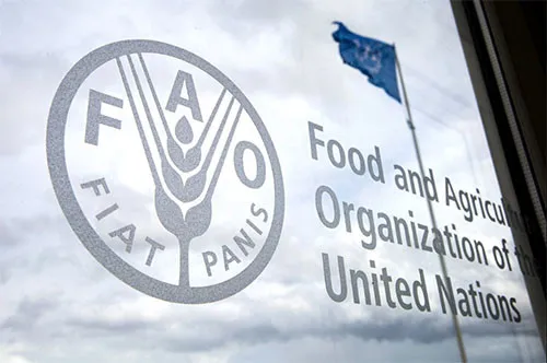 FAO reclama en el G20 un enfoque 