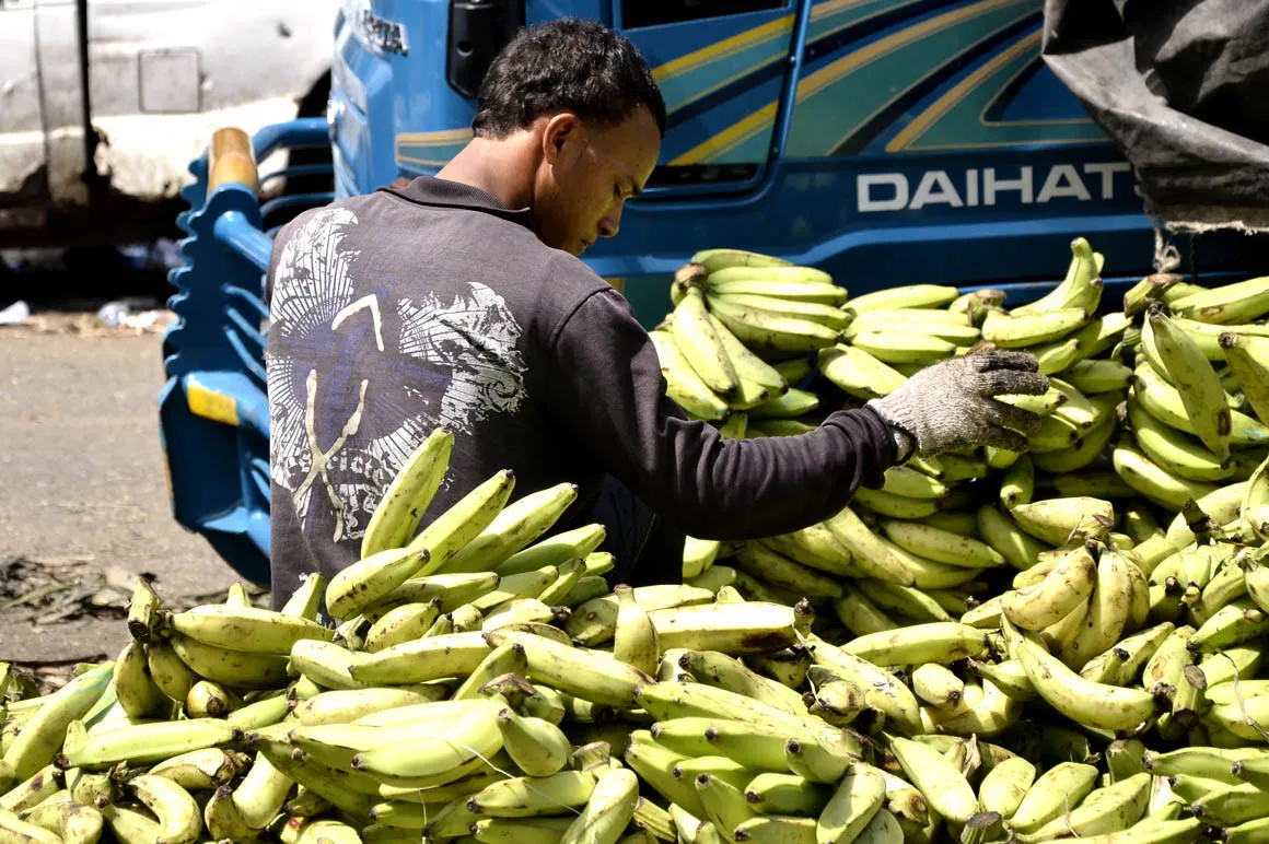Limber Cruz asegura que habrá plátano en abundancia y a 