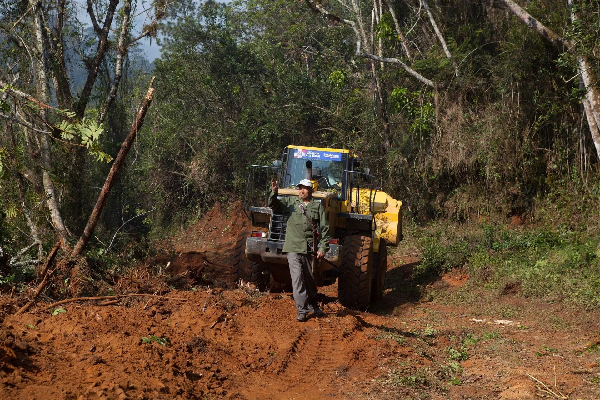 42.8 % la cobertura forestal de la República Dominicana