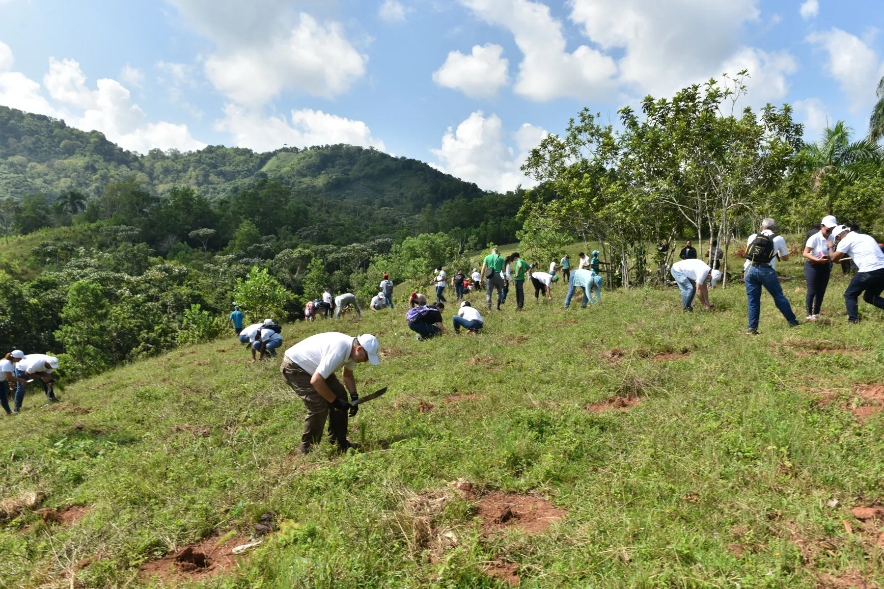 Realizan nueva jornada de reforestación en cuenca alta del río Ozama