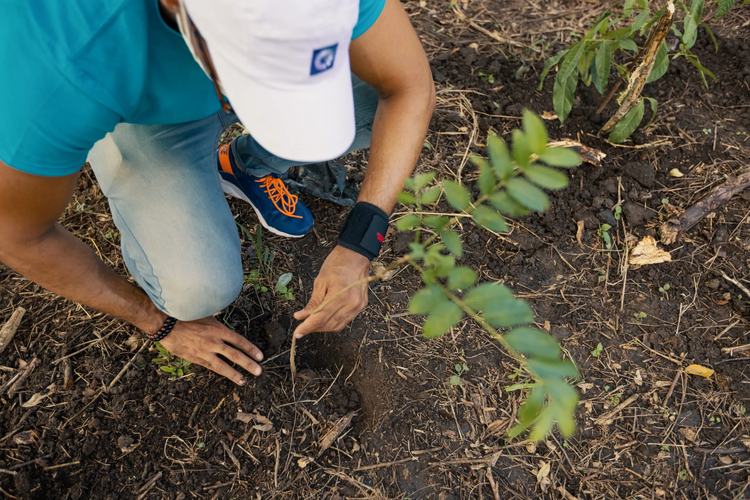 Banco Popular inicia jornada siembra de 25 mil árboles en Santiago