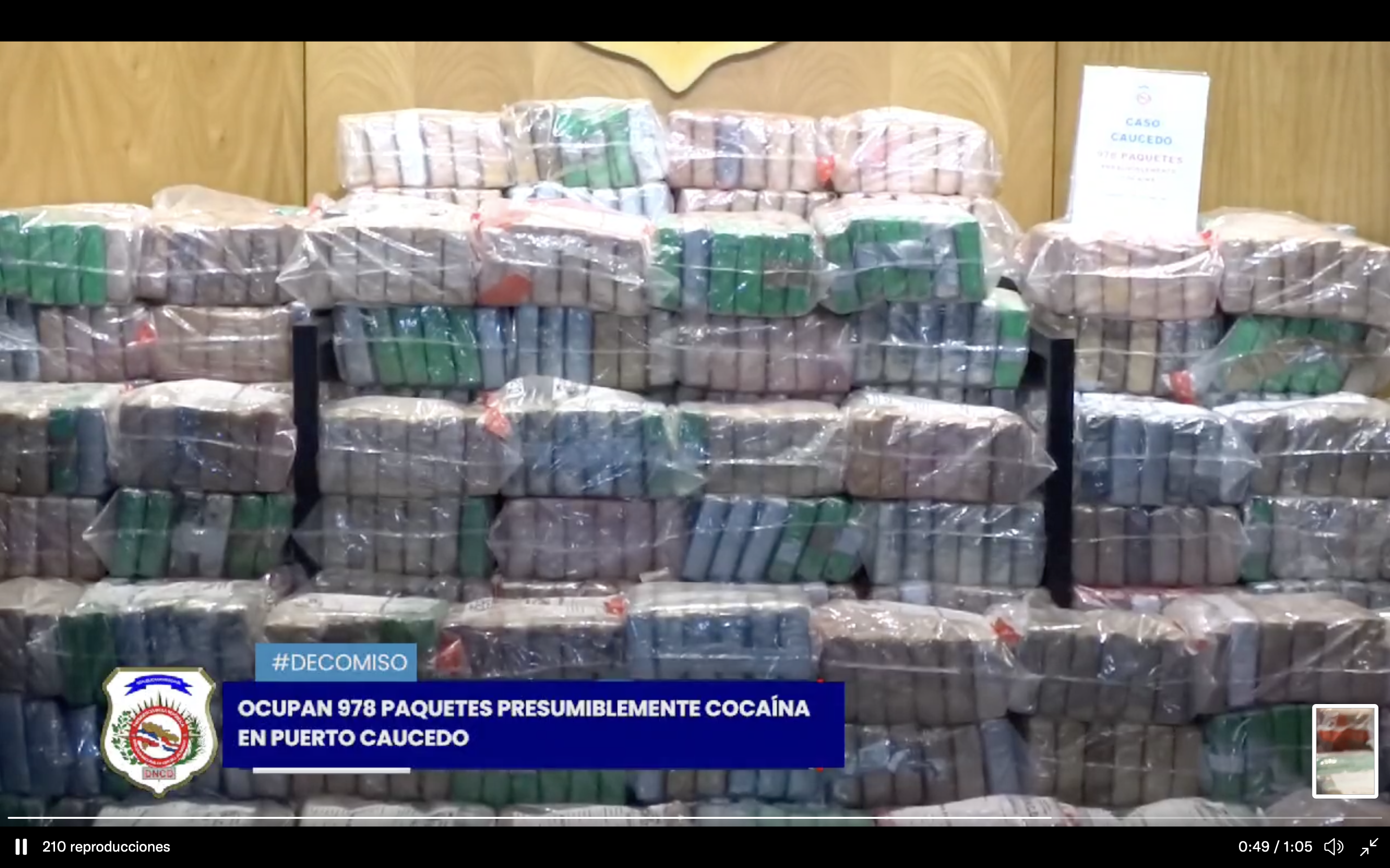 Decomisan 978 paquetes de presumible cocaína en Puerto Multimodal Caucedo