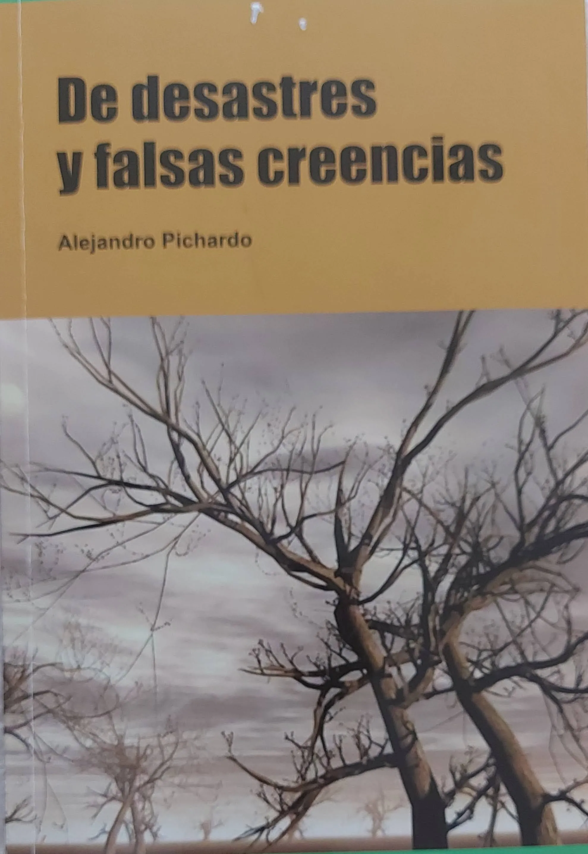 ‘De desastres y falsas creencias’, novela de Alejandro Pichardo