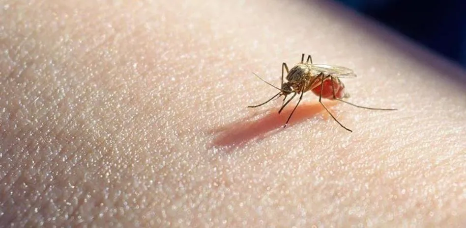 Salud Pública reporta un caso de malaria importado