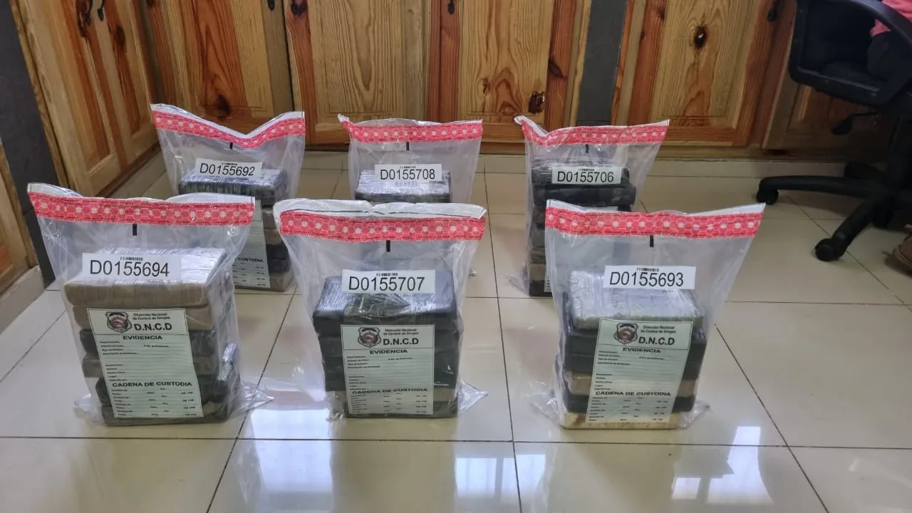 Incautan 37 paquetes de droga en contenedores del Puerto de Haina