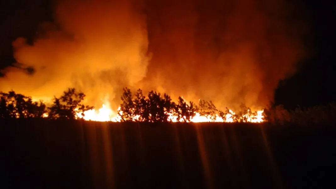 Incendio en área verde de Cap Cana