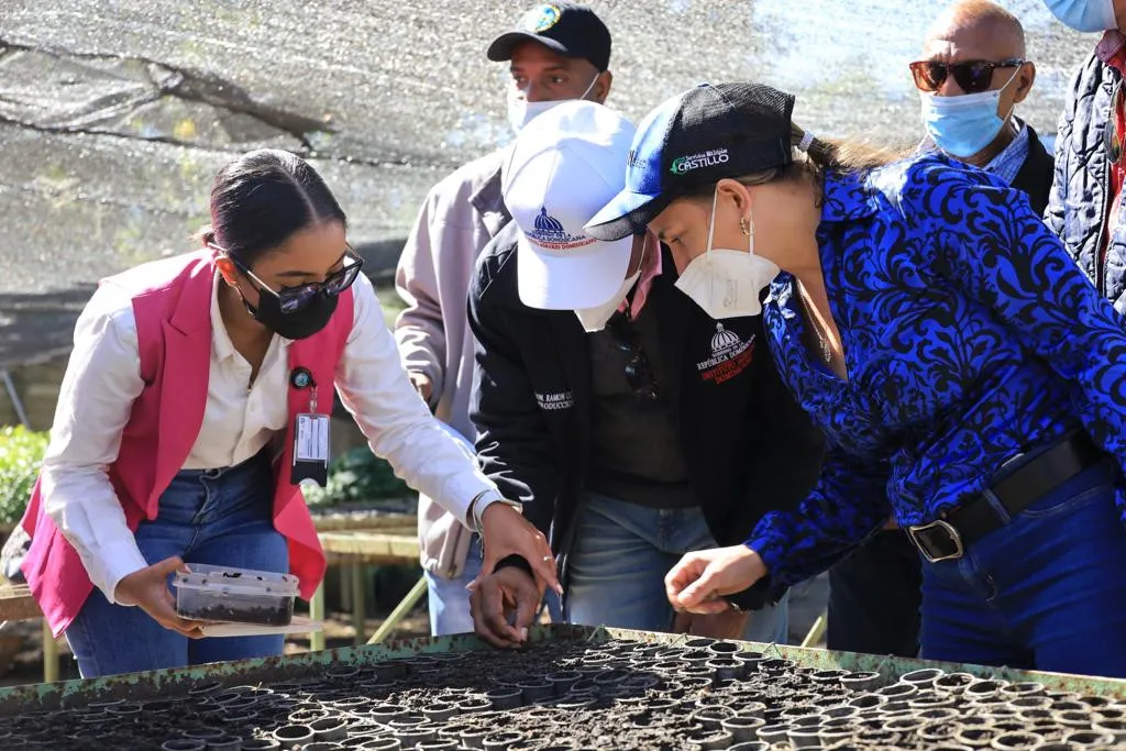 Donan semillas de peras japonesas al IAD en Constanza 