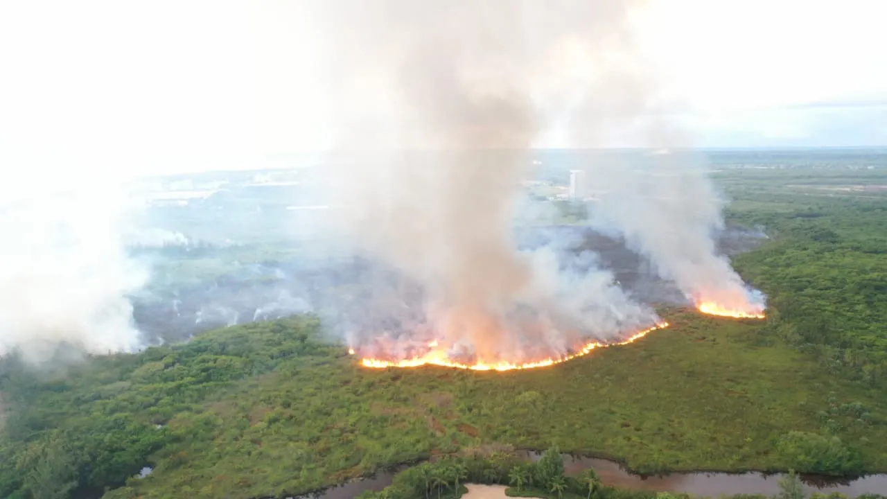 Se desconoce la causa del incendio forestal en los manglares de Cap Cana