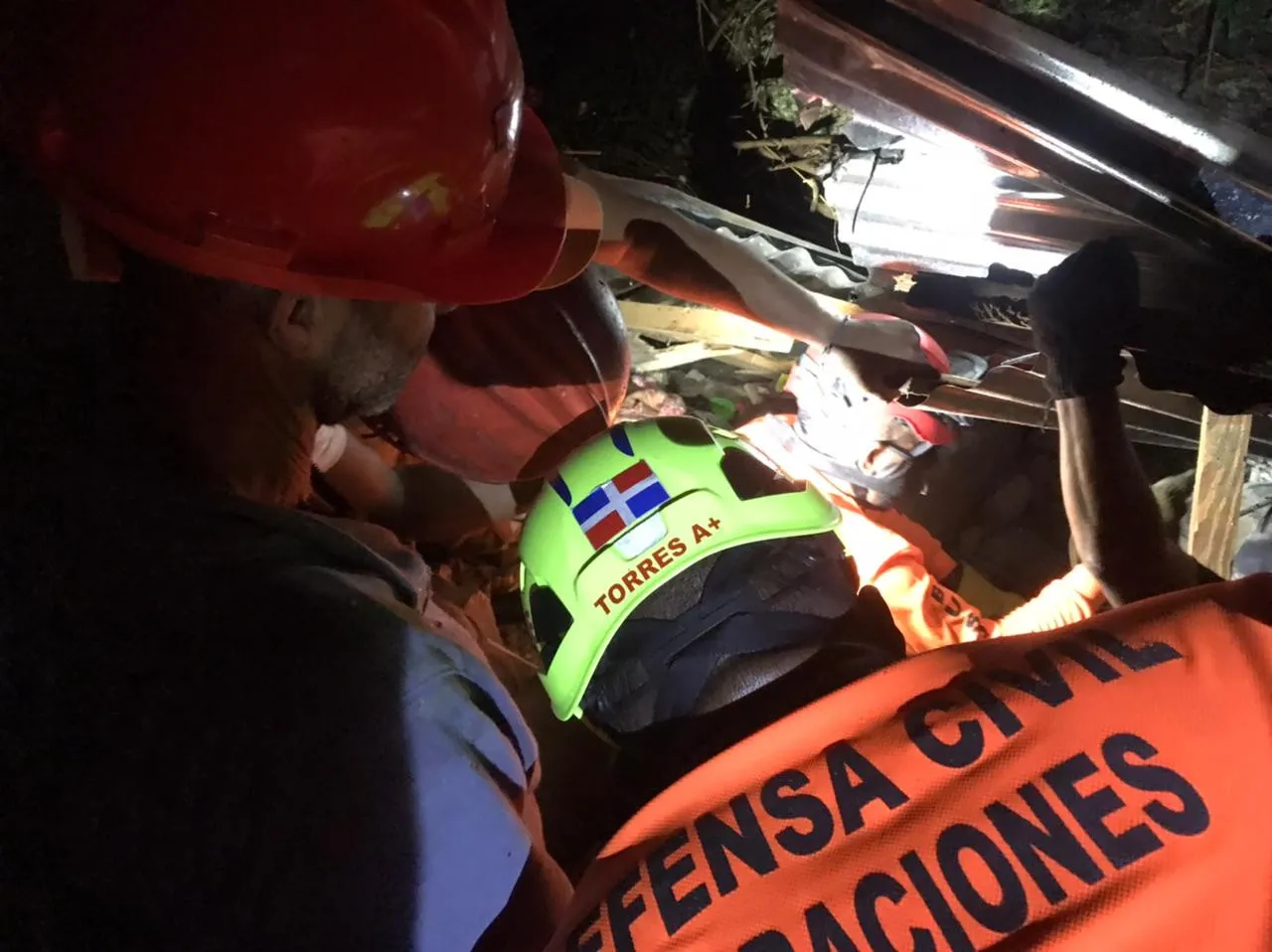 Hombre muere aplastado por árbol en Santiago
