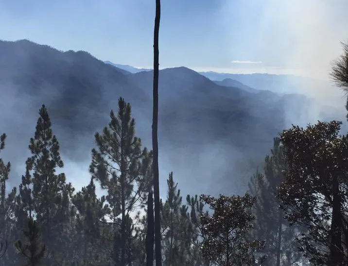 Fueron provocados los tres incendios forestales en Sierra de Bahoruco