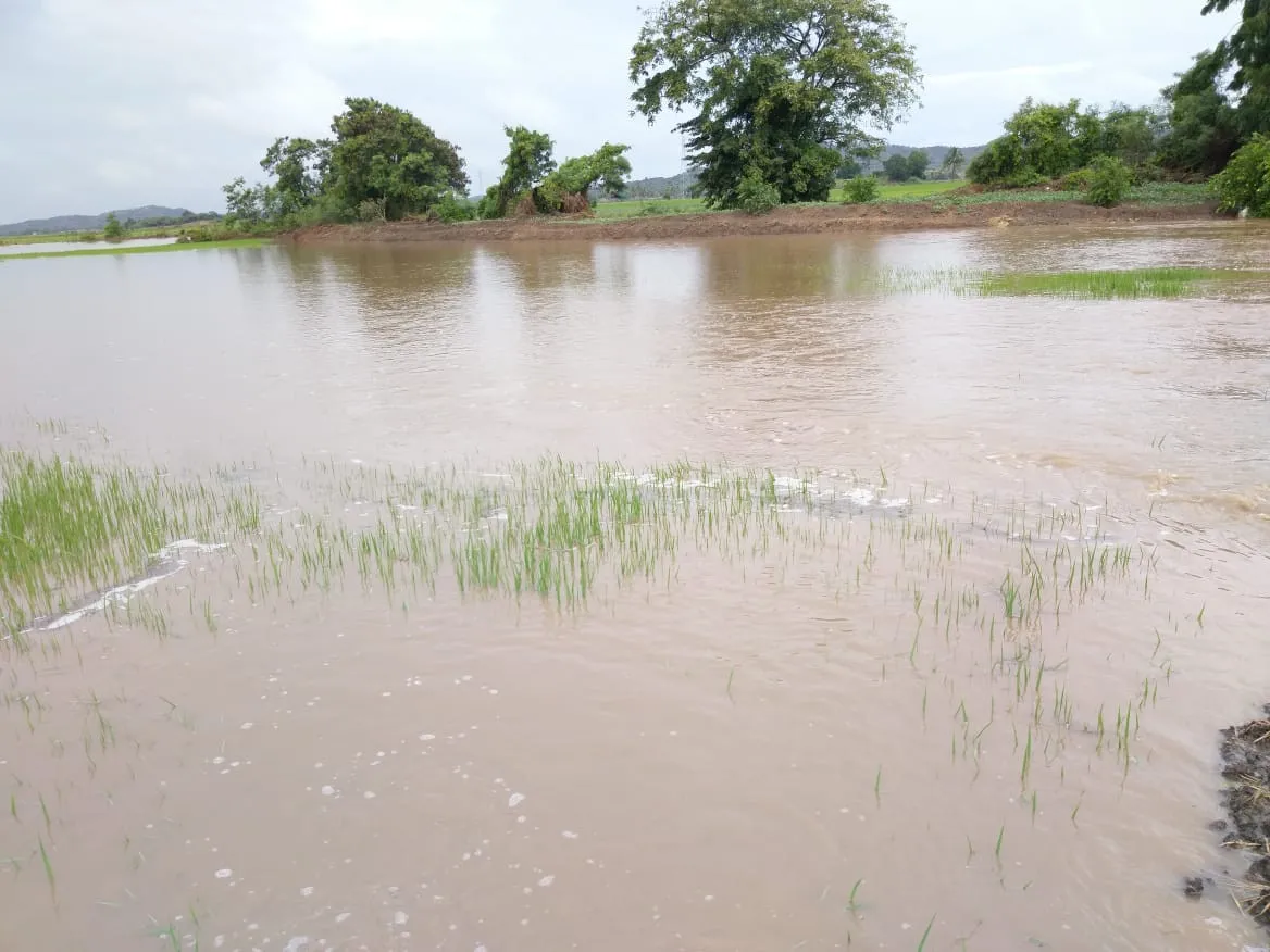 Director IAD envía comisión a Montecristi por daños de las inundaciones  