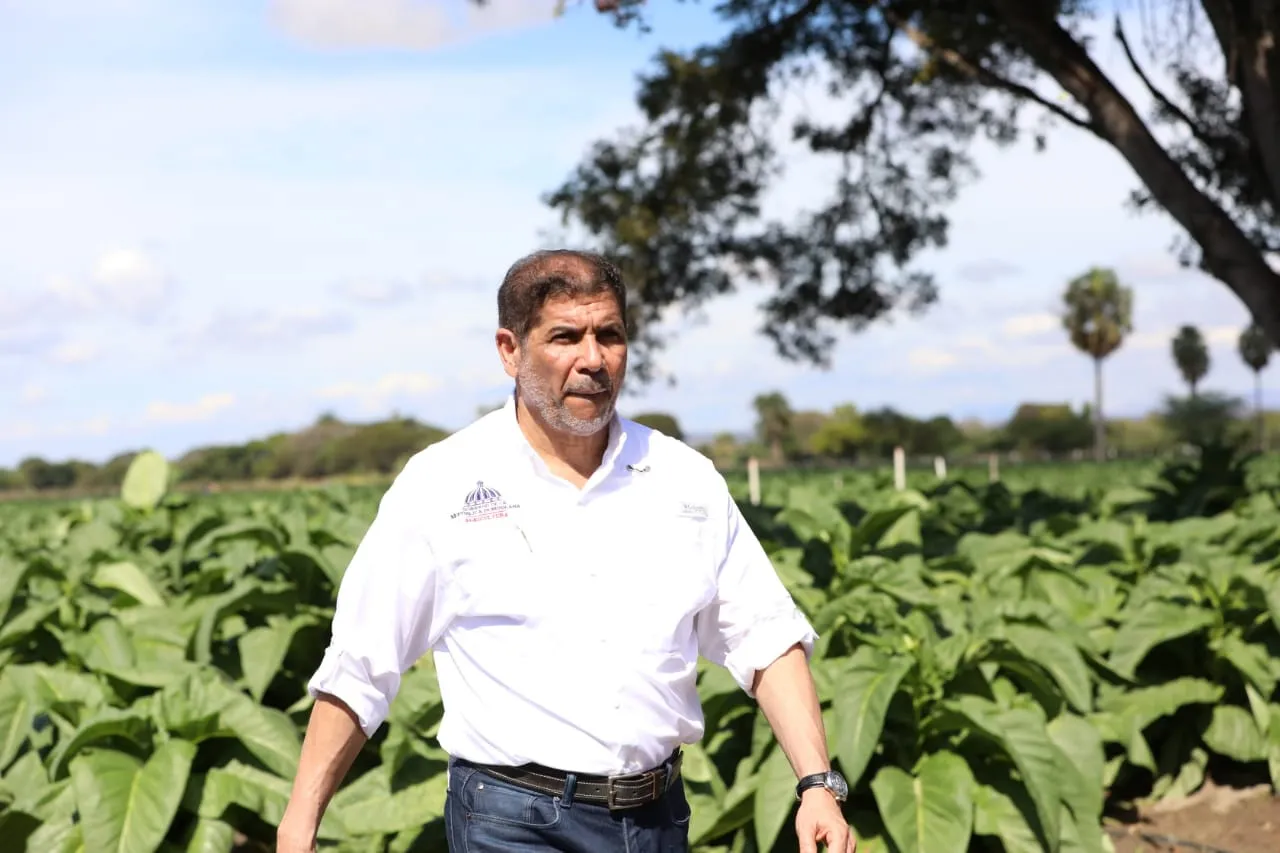 Valle de San Juan también producirá tabaco de exportación