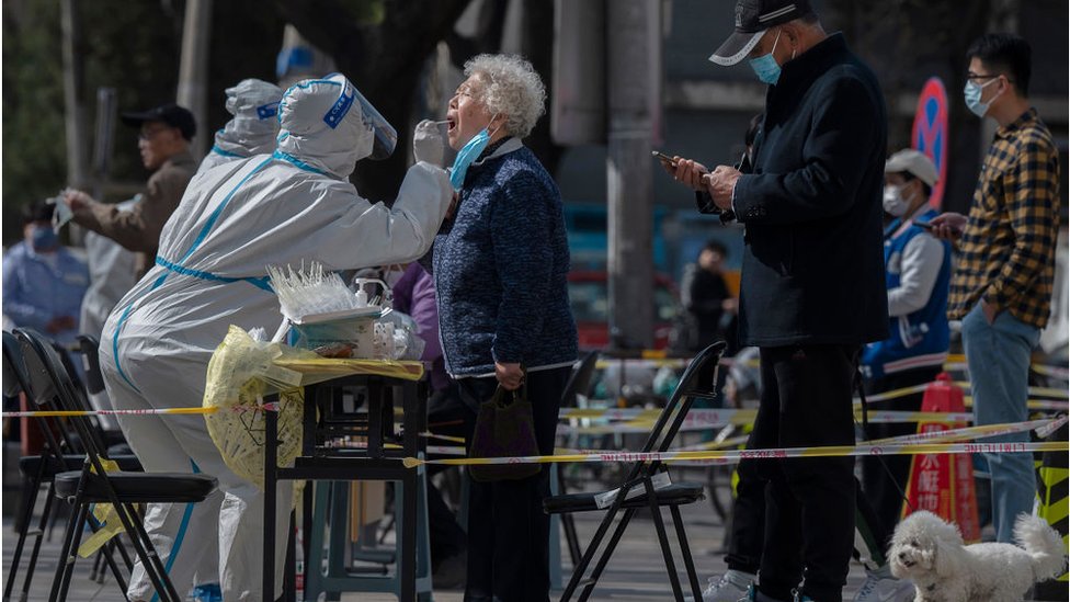 Covid en China: las autoridades reportan tres muertos en el último brote en Shanghái