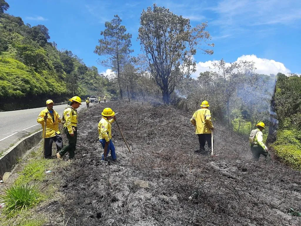 Medio Ambiente informa que responsable del incendio en Valle Nuevo será sometido a la justicia 