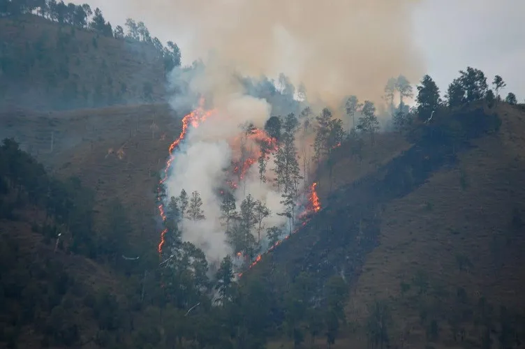Bomberos trabajan en la extinción de un incendio forestal en Constanza