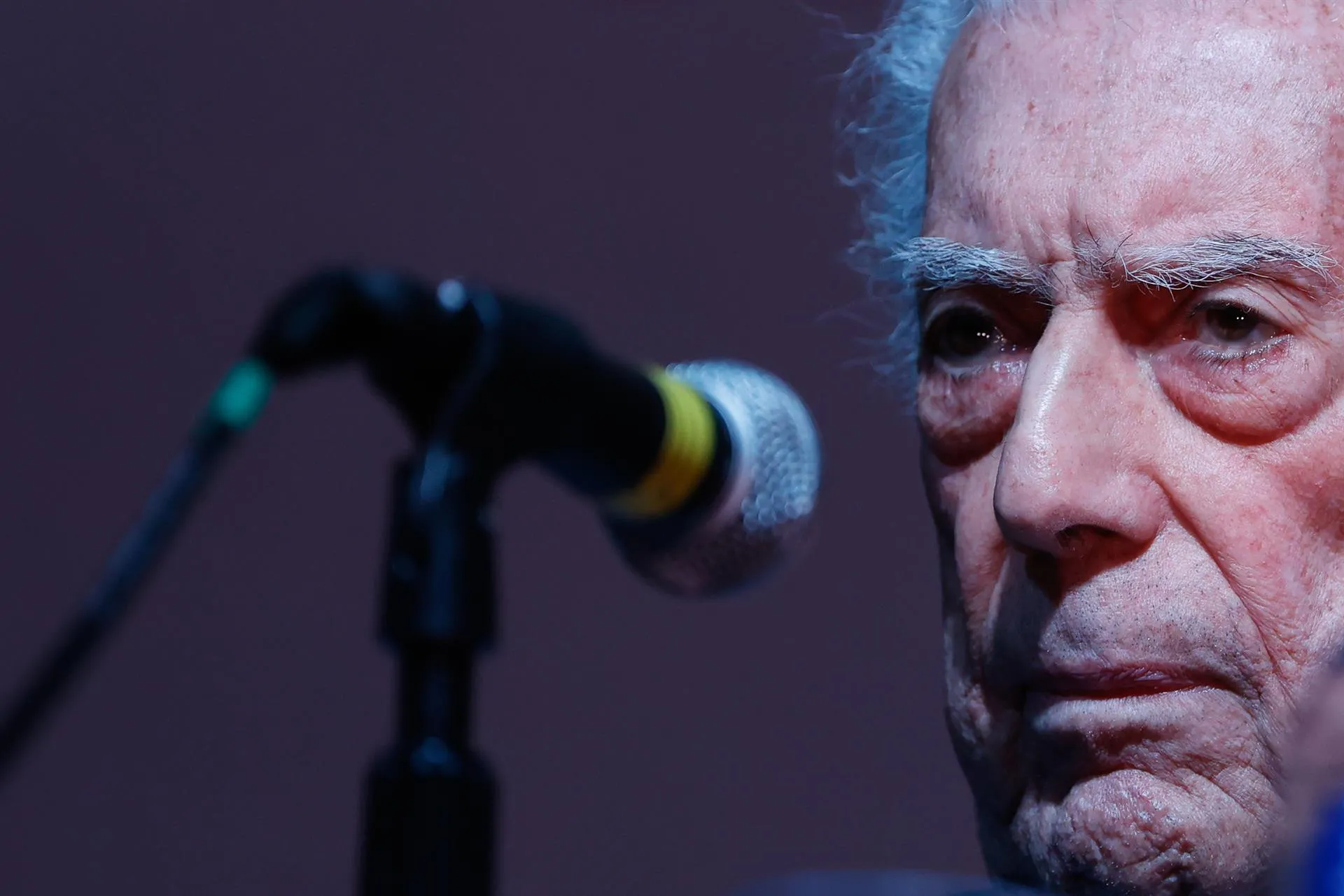 Vargas Llosa afirma sentir “temor” por intromisión de gobiernos en literatura