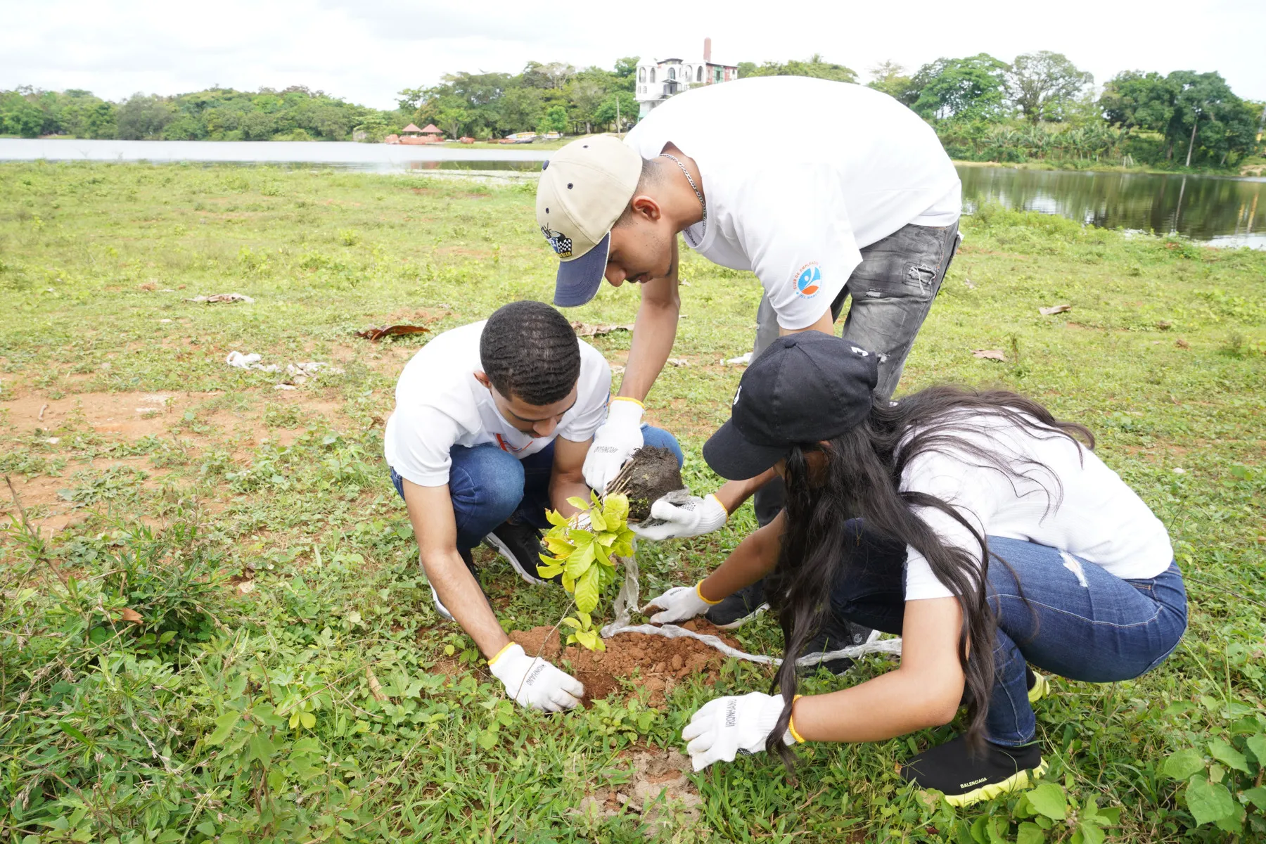 Voluntariado Bancentraliano reforesta la cuenca del río Ozama