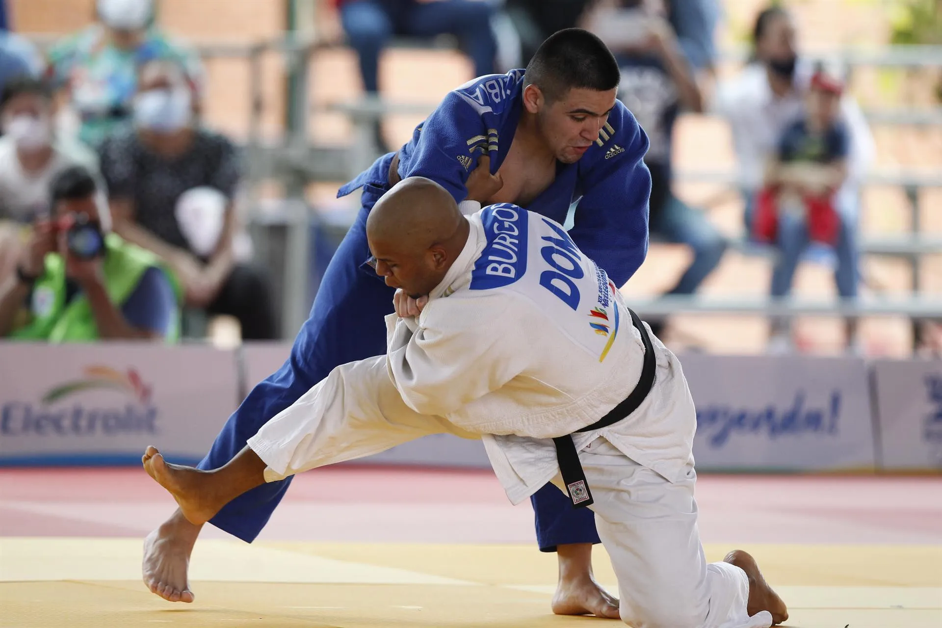 República Dominicana, Venezuela y Perú ganan oros en judo