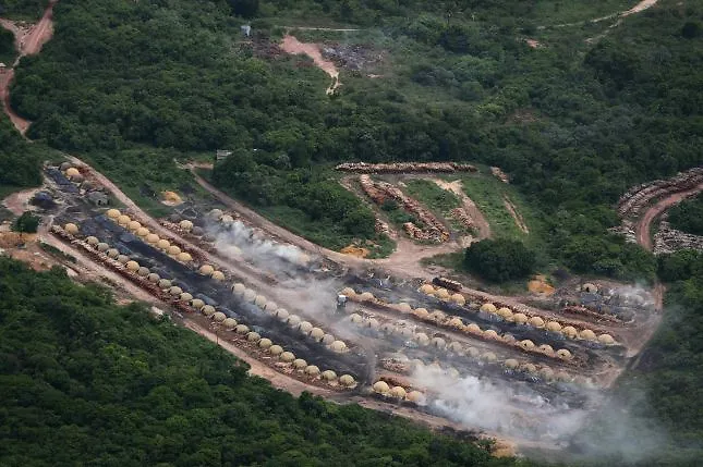 La deforestación de la Amazonía brasileña bate récord en el primer semestre