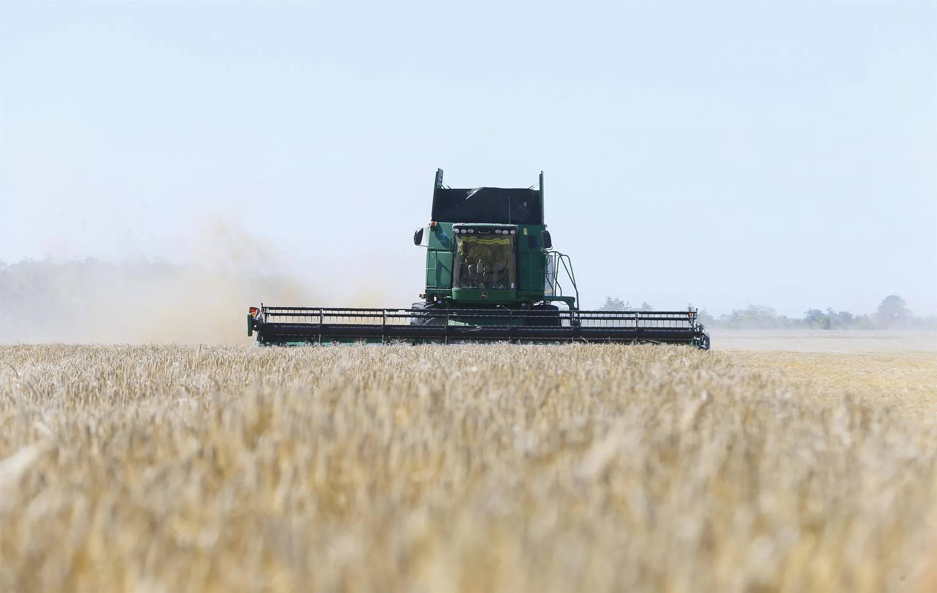 Rusia y Ucrania firmarán acuerdo este viernes para exportar cereales