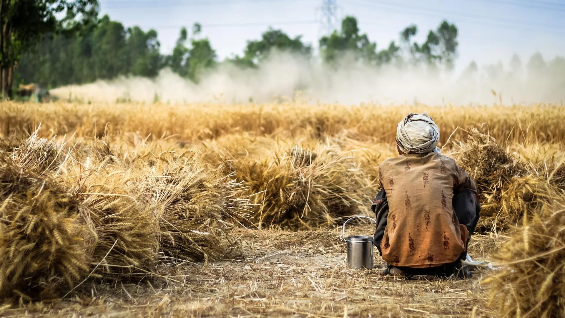 El desbloqueo de cereal y el calor marcan la crisis alimentaria por la guerra