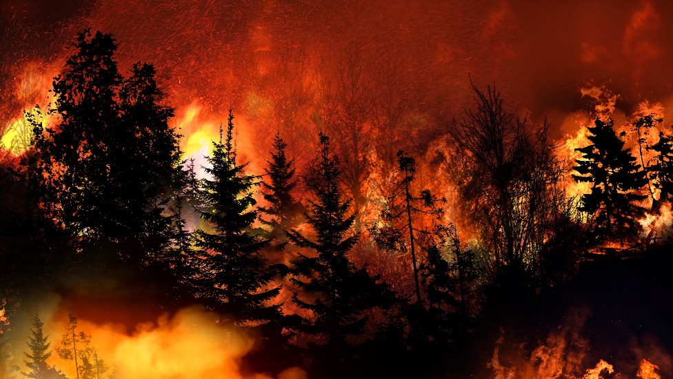 Qué son los rayos secos, causantes de devastadores incendios forestales