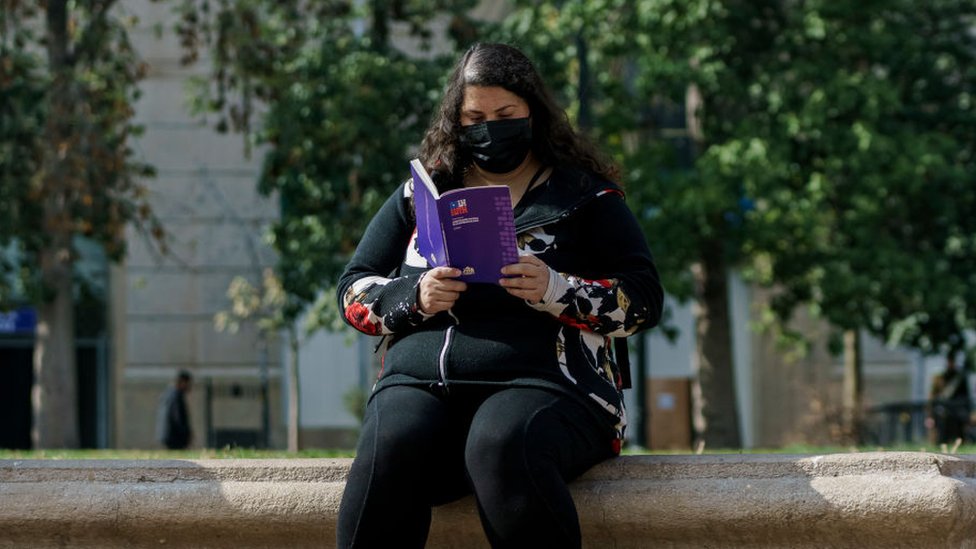 Constitución en Chile: 4 factores que explican la división política y social que provoca la propuesta