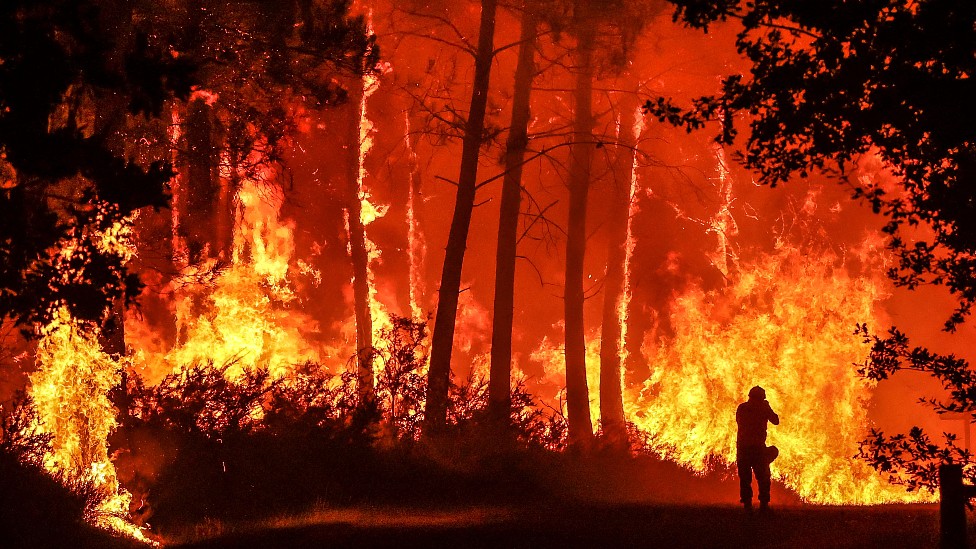 Qué son los incendios zombi, qué otros tipos de fuegos hay (y cuál lleva ardiendo al menos 6000 años)