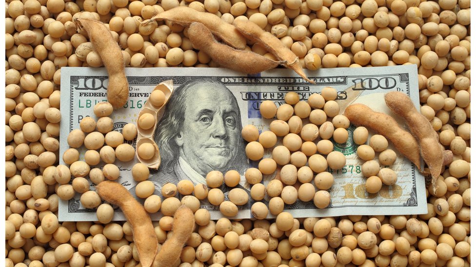 Qué es el nuevo dólar soja y por qué podría ser clave para la economía de Argentina