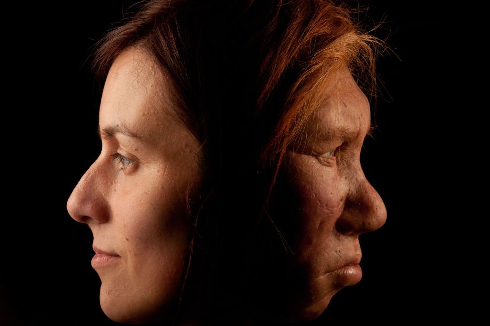 Qué lecciones para la vida humana nos enseñan los neandertales 40000 años después de su extinción