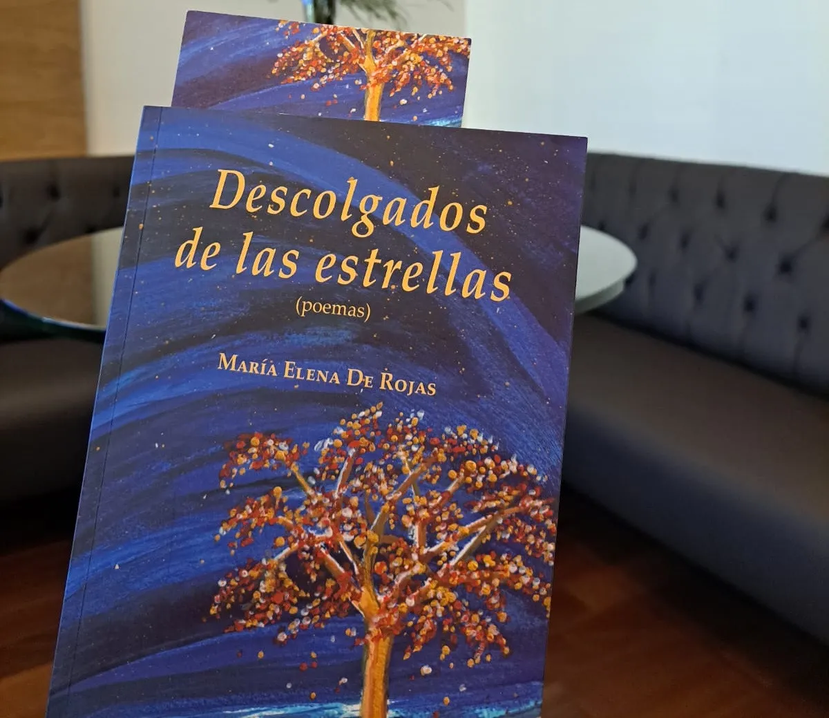 Presentan con éxito poemario Descolgados de las estrellas, de María Elena de Rojas