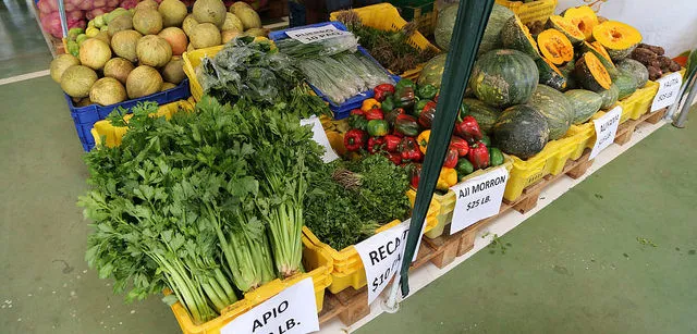 Gobierno reporta caída de precios en la mitad de productos agropecuarios