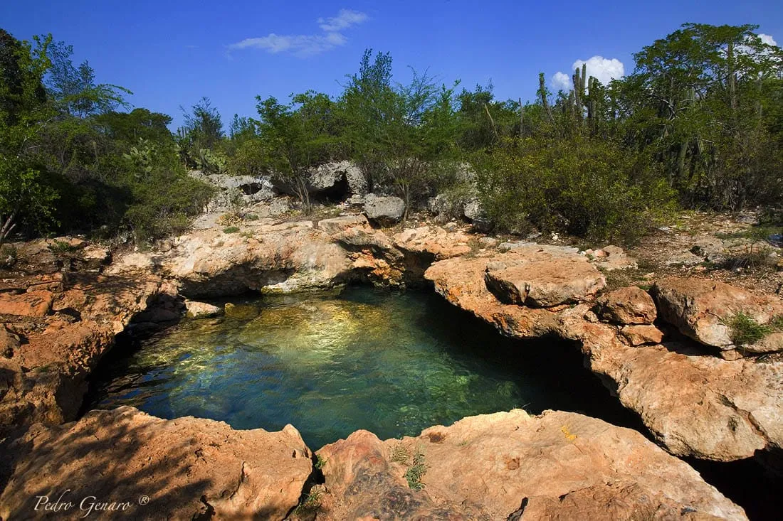 Cenotes de Pedernales: maravillas de la naturaleza para cuidar y disfrutar, pero pocos lo saben