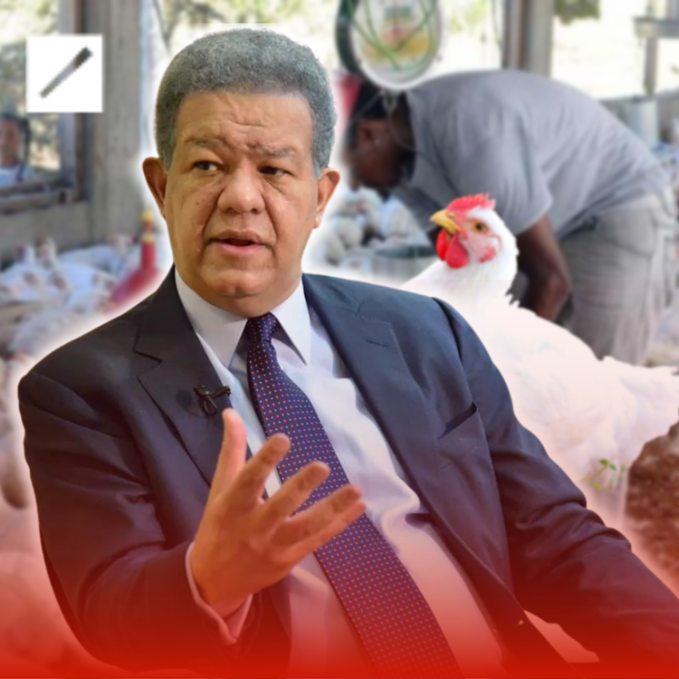 FP culpa al Gobierno por llevar a la quiebra a los avicultores
