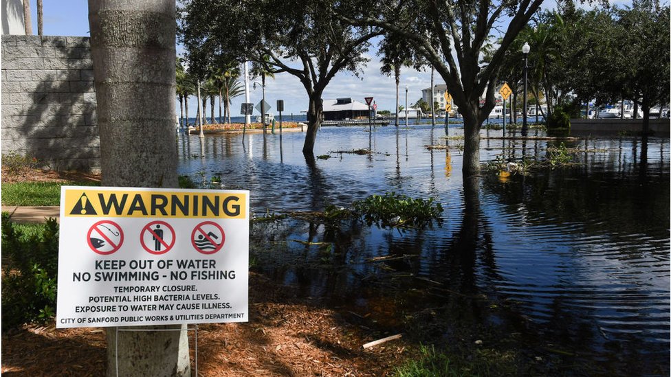 El récord de muertes en Florida por Vibrio vulnificus, la bacteria que se come la carne, tras el huracán Ian