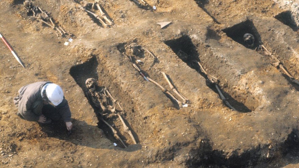 Cómo la peste negra de hace 700 años sigue afectando tu salud ahora