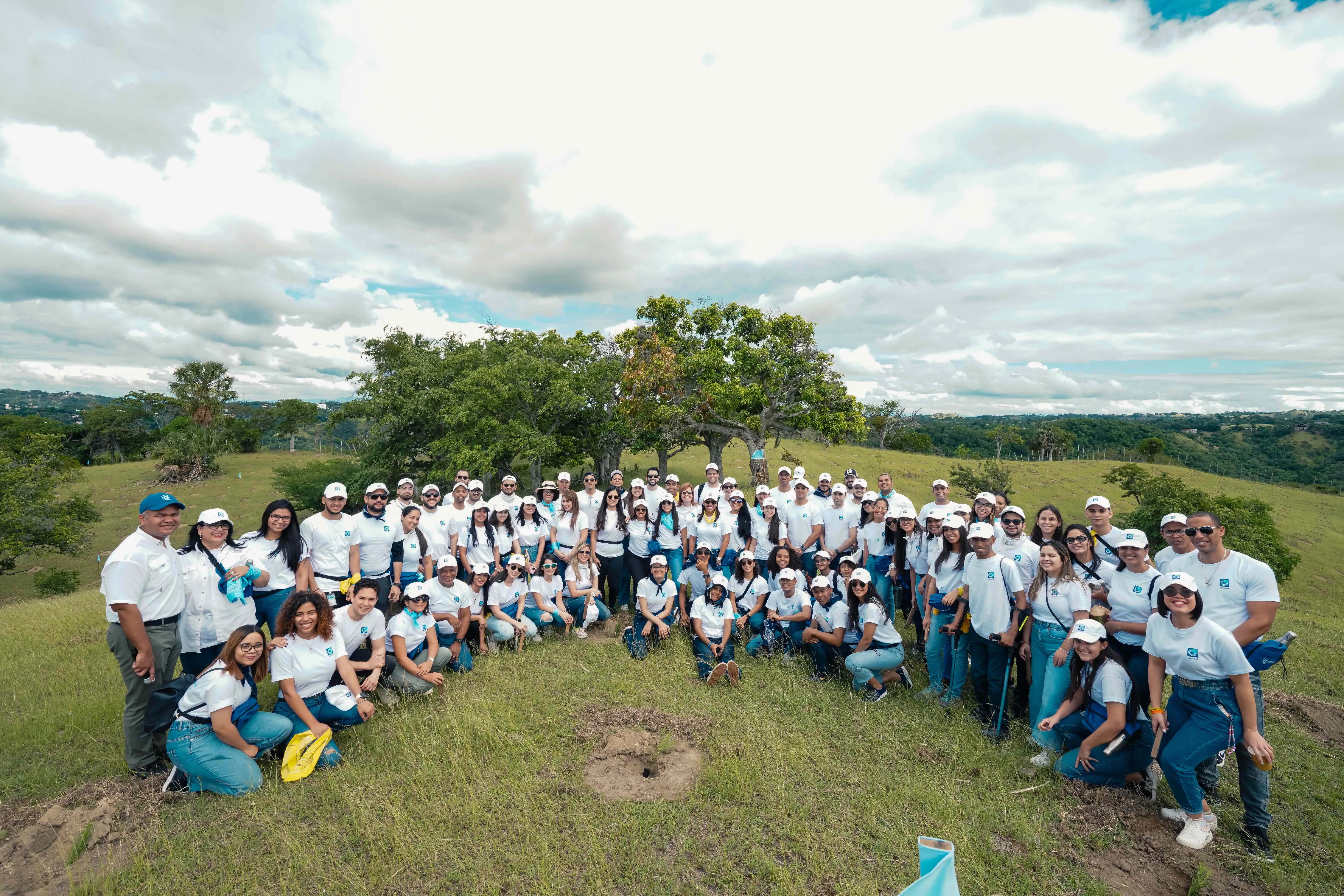 Voluntarios del Popular realizan reforestación en el Plan Sierra