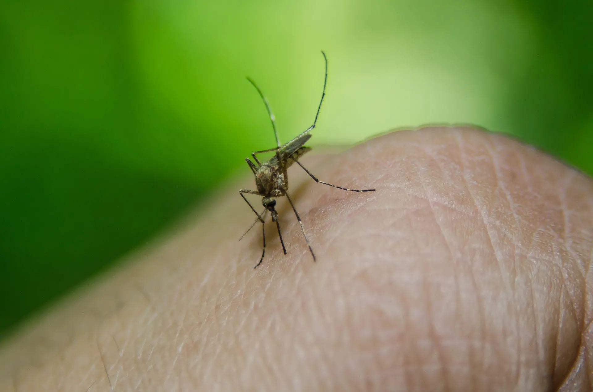 El dengue sigue avanzando en RD: mueren dos hijos de médicos por la enfermedad
