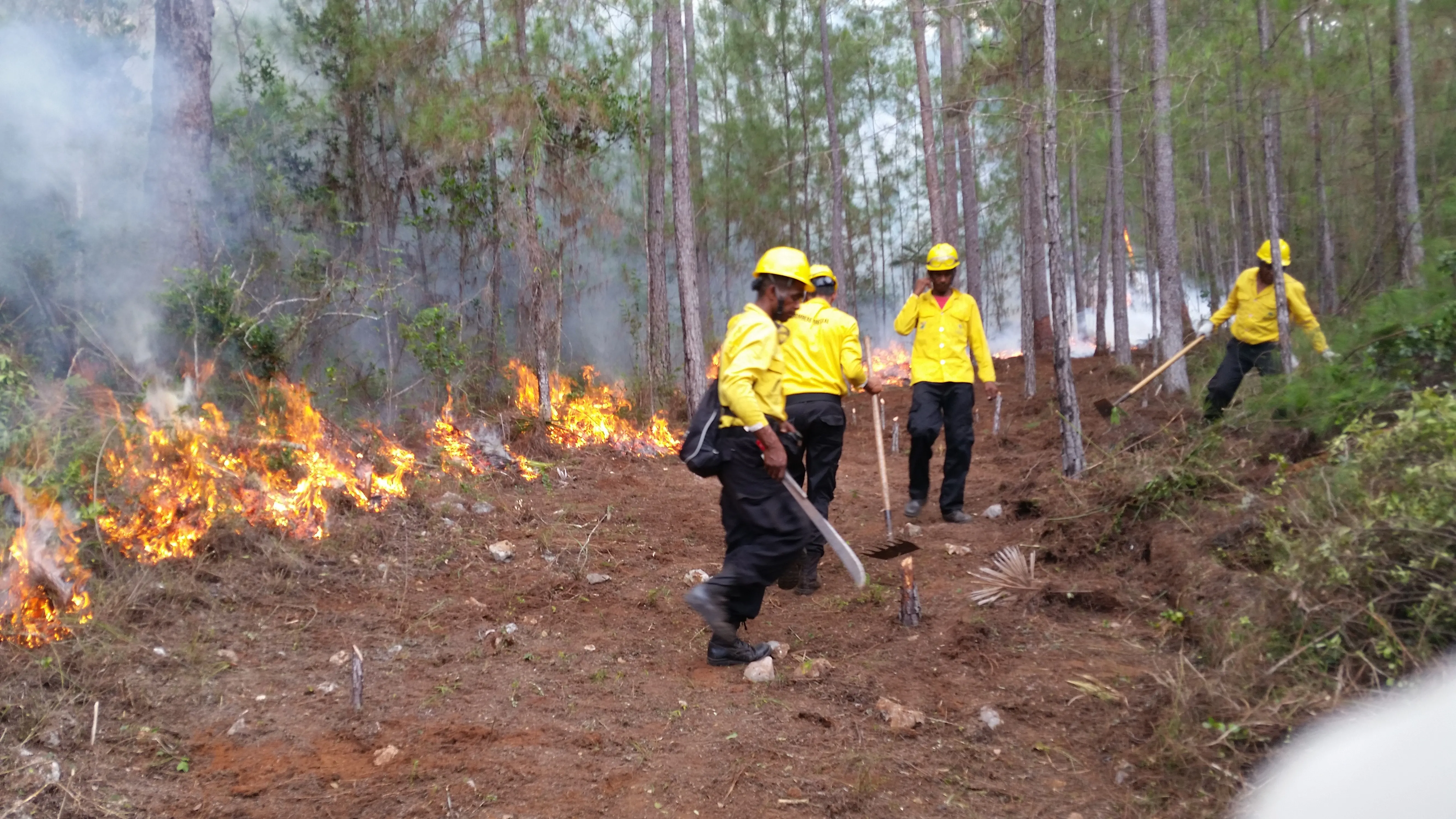 Medio Ambiente listo para proteger bosques en temporada de incendios