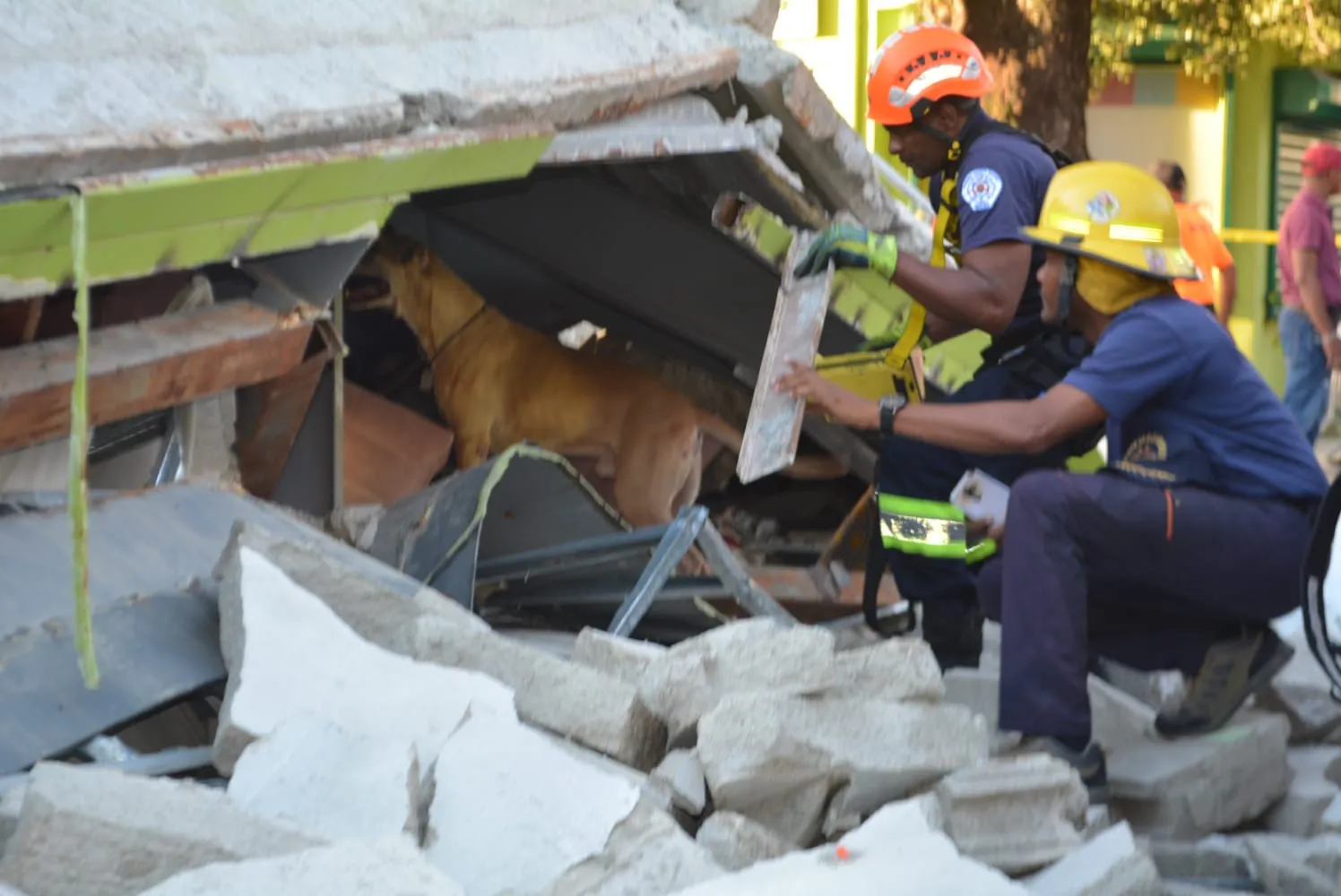 Alcalde de Santiago pone a disposición equipos por derrumbe de edificio en La Vega
