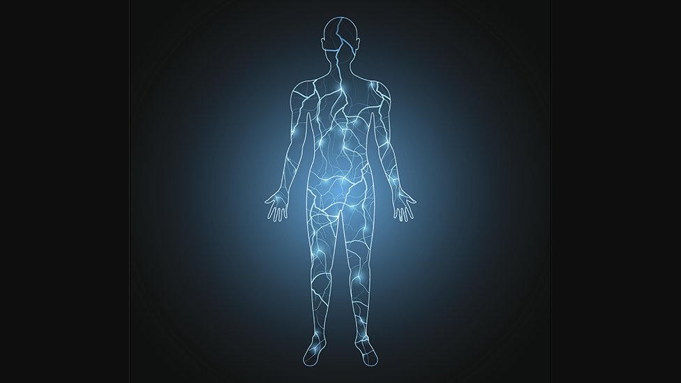 Qué es el electroma, la red bioeléctrica del cuerpo humano que los científicos apenas comienzan a investigar (y cómo puede revolucionar el tratamiento del cáncer y de las heridas)