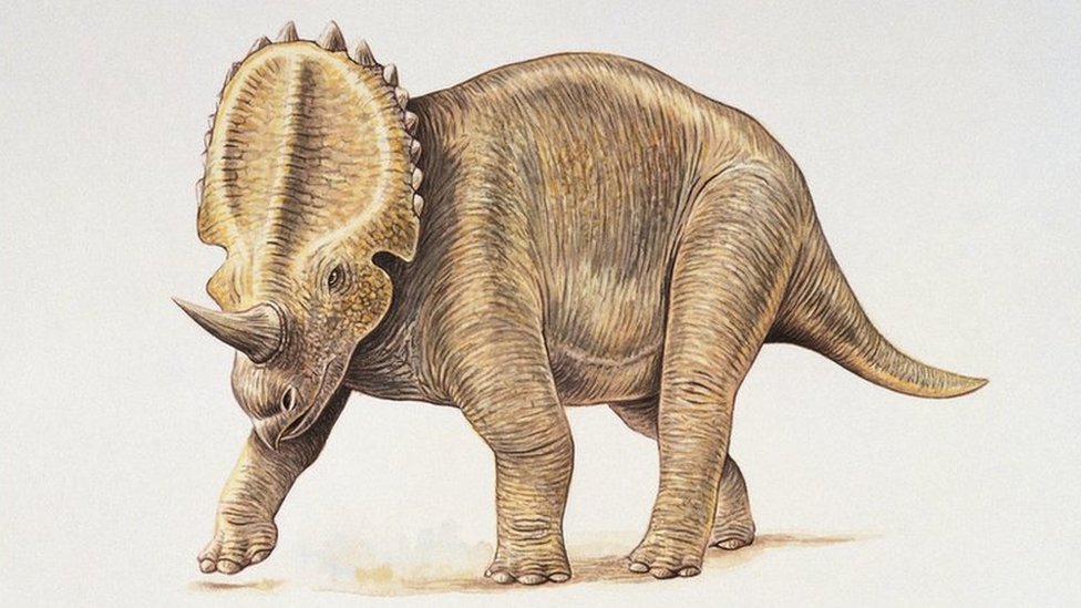 El cáncer que sufrían los dinosaurios hace 77 millones de años y que aún padecen miles de personas cada año
