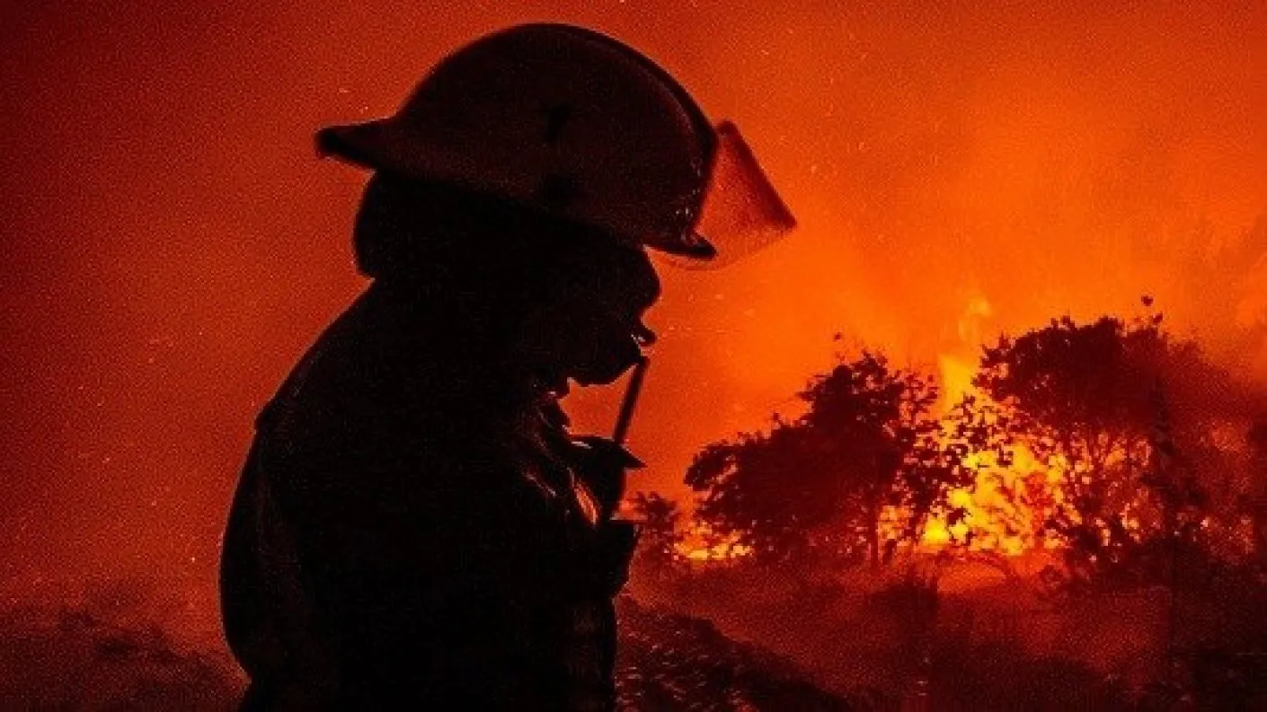 Van 13 muertos en virulentos incendios forestales de Chile