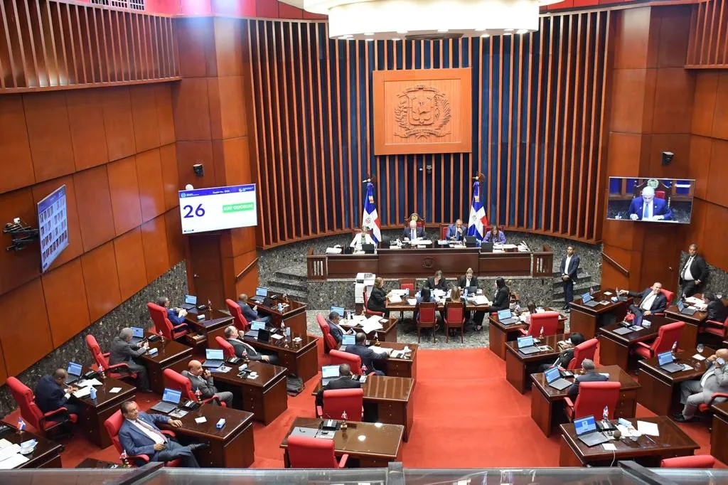 El Senado aprueba en segunda lectura Proyecto Ley de Régimen Electoral