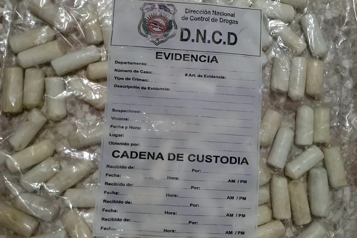 Arrestan extranjero con 89 bolsitas de cocaína en el aeropuerto de Punta Cana
