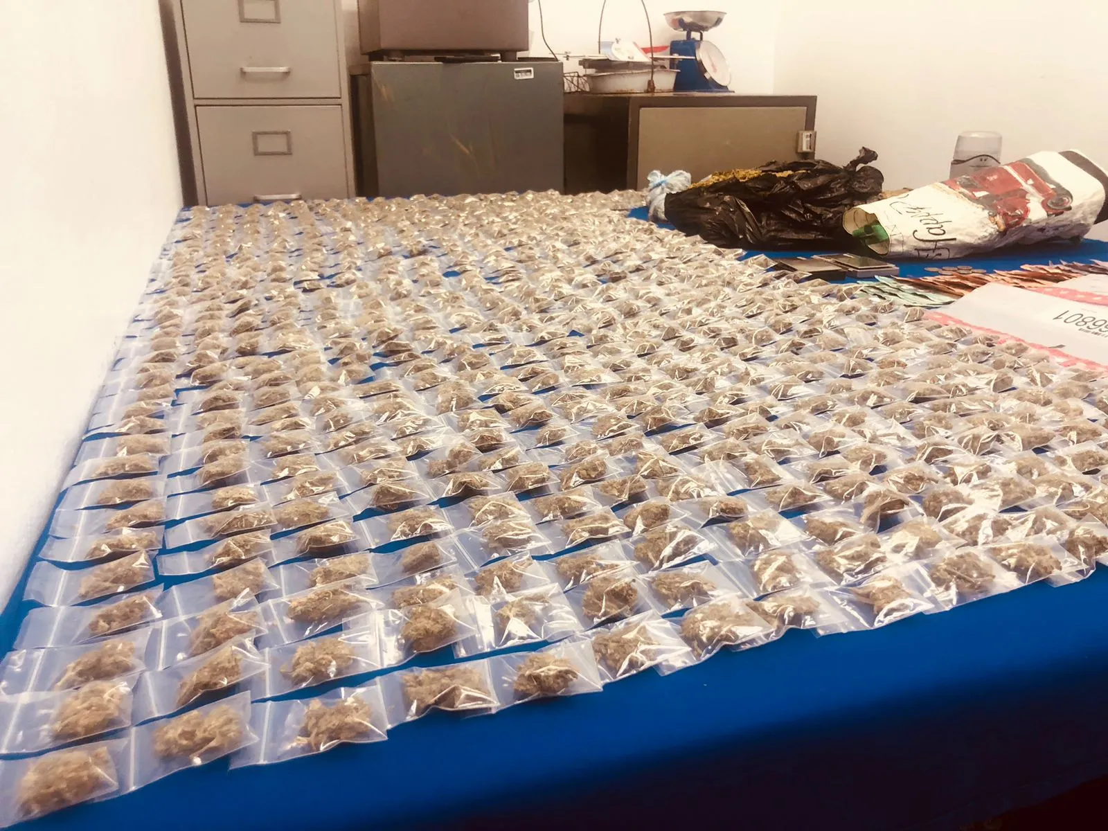 Confiscan más de 66 mil gramos de drogas y arrestan a ocho personas en allanamientos simultáneos