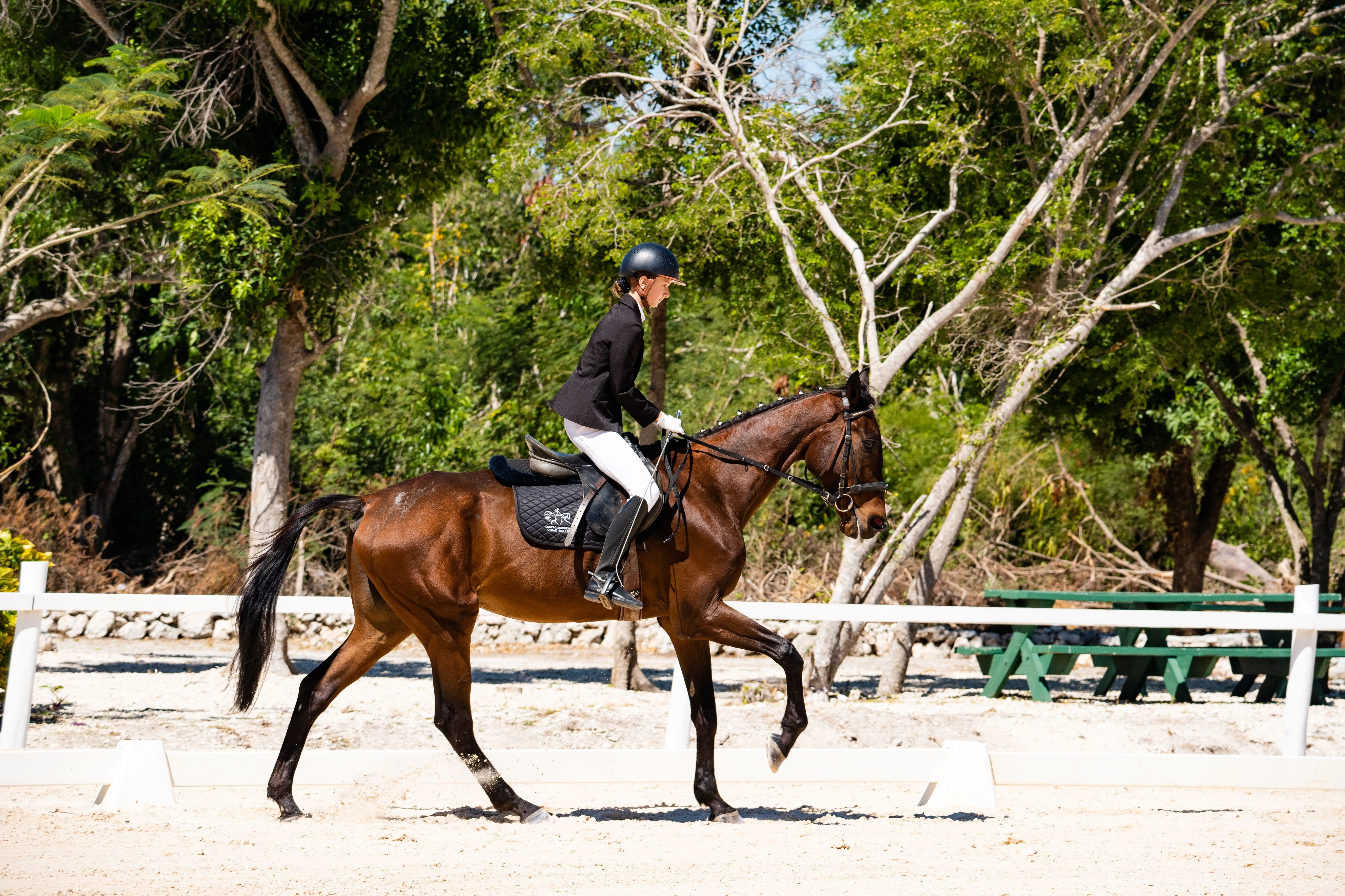 Puntacana Equestrian Center realiza competencia nacional de adiestramiento 