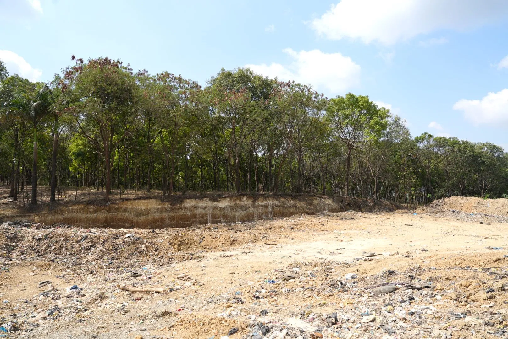 Medio Ambiente empieza reforestación en proceso de cierre técnico del vertedero de Duquesa