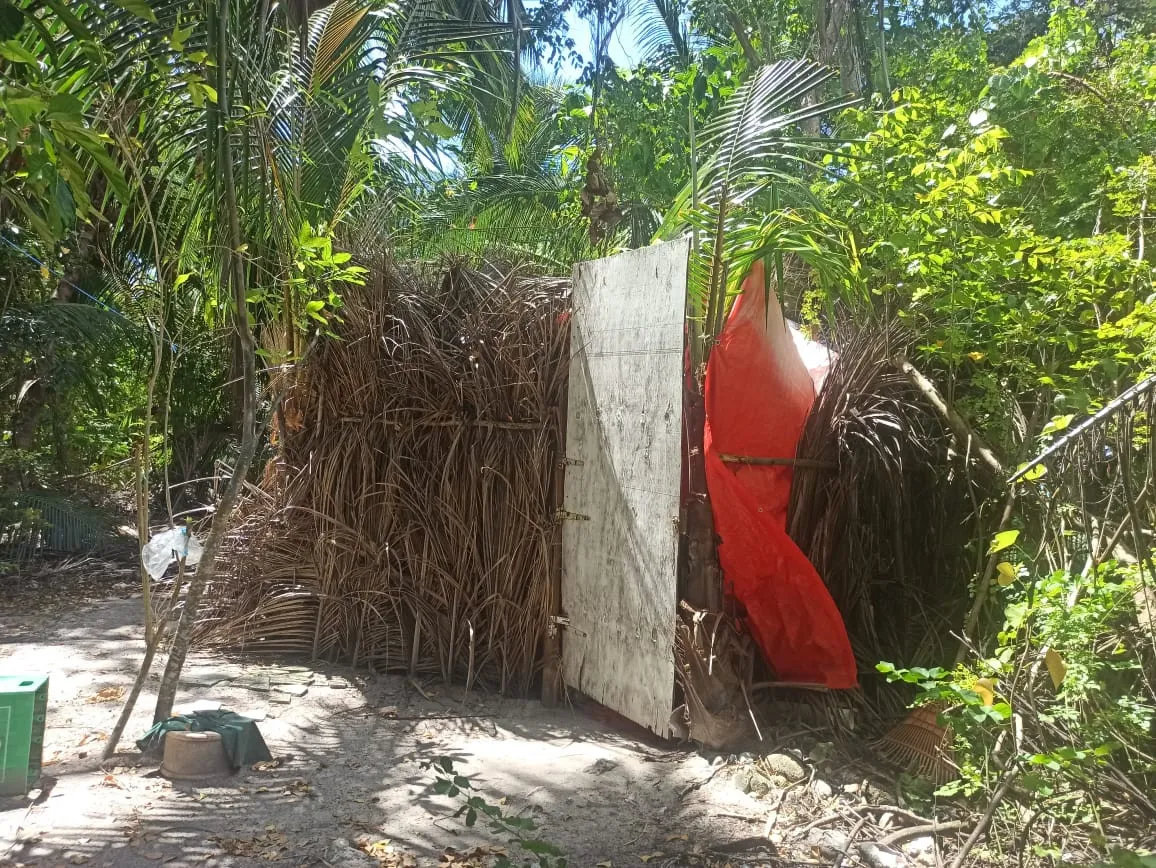 Medio Ambiente derriba 16 casuchas en zona de playa la isla Saona 