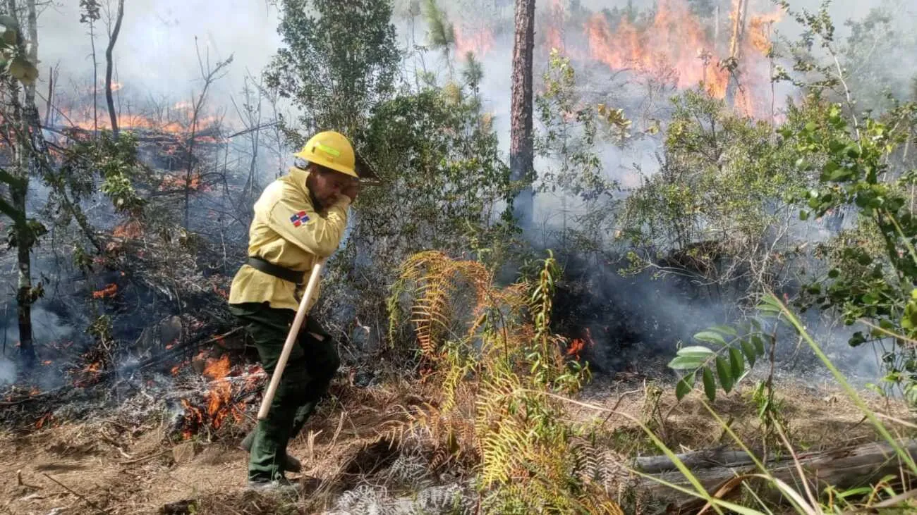 Bomberos forestales sofocan otros once incendios en distintos puntos del país